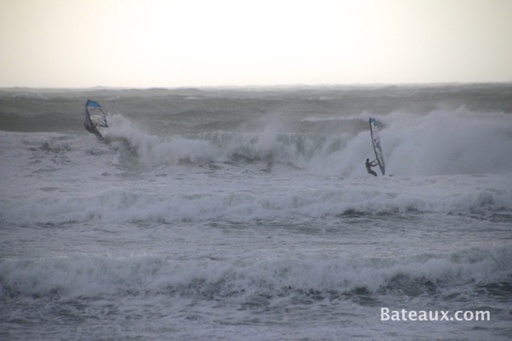 surf