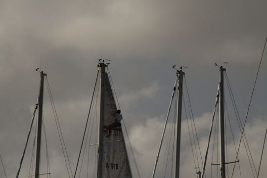 ARC 2016