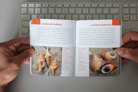 Coquillages Editions Glénat