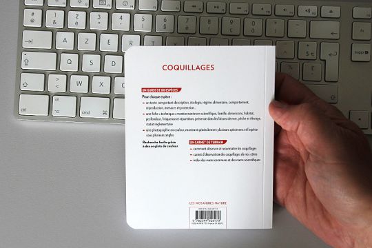 Coquillages Editions Glénat