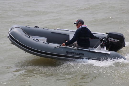 Mercury 15/20 EFI