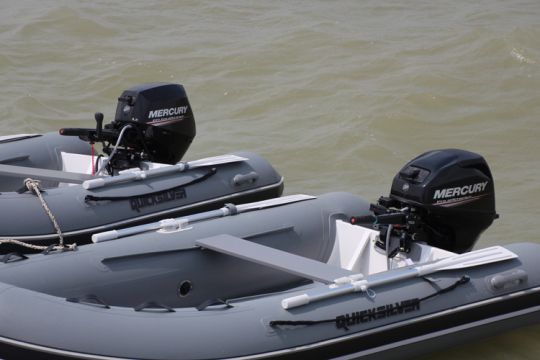 Mercury 15/20 EFI