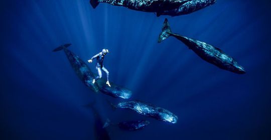 Offshore Film festival 2019