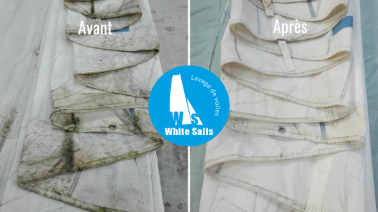 White Sail