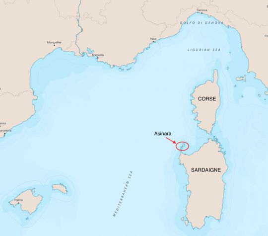 Carte Asinara