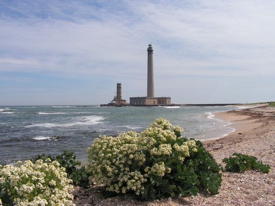 Croisière Cotentin Manche Est