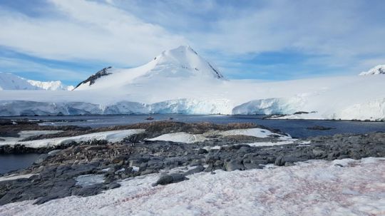 Découverte de l'Antarctique en voilier