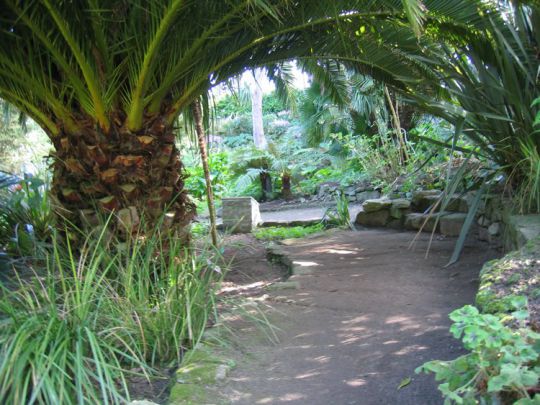 Le jardin Delaselle