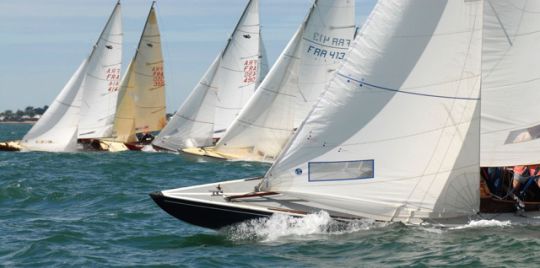 Requin en navigation © Yves SUINAT / A.F.P.R