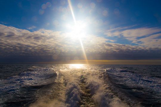 La vague d'étrave visible à l'arrière du bateau