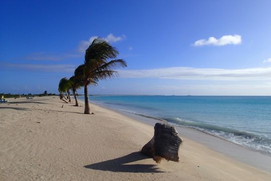 Plage de Barbuda