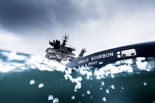 Abeille Bourbon