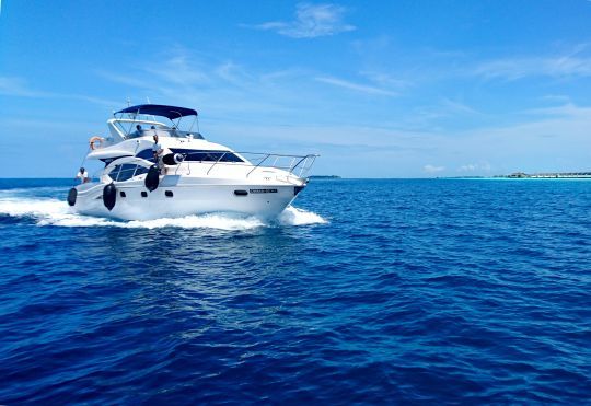 Les bateaux à moteur nécessitent des diplômes spécifiques pour les marins