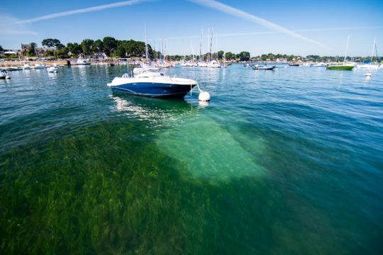 Les dégâts du ragage sur les herbiers © Benjamin Simon - PNRGM