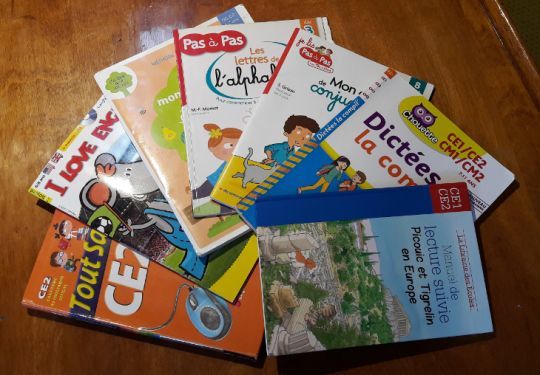Il existe de multiples manuels pour faire cours