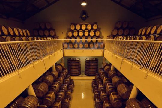 Un rhum qui pourrait traverser l'Atlantique en voilier de course !