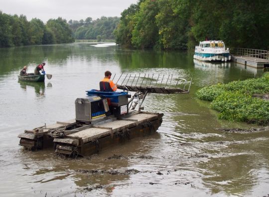Un engin amphibie sur la Mayenne