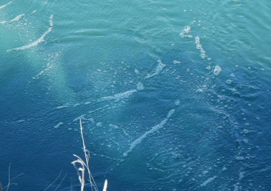 Une barrière de bulles dans l'eau bleue