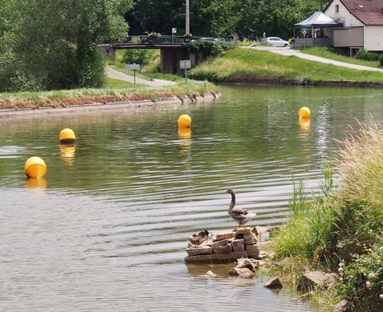 Tous les obstacles ne sont pas aussi bien balisés