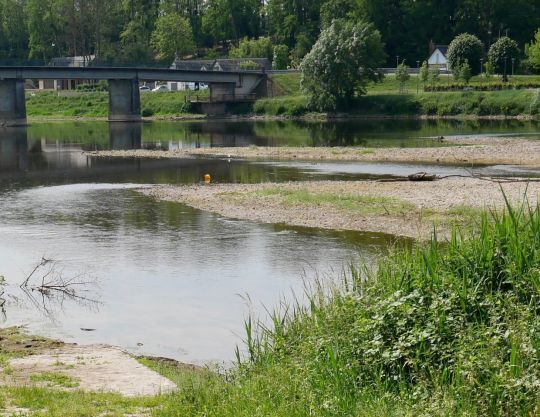 Les herbiers constituent un indice de la profondeur