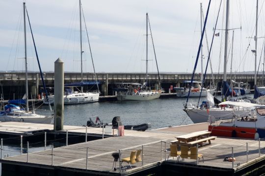 Arthur à la marina du château, Brest