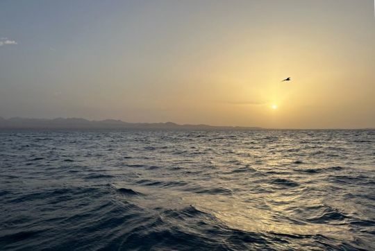 "La remontée du golfe de Suez, c'est la Manche, une mer très compliquée. Mais la côte du Sinaï est sublime"