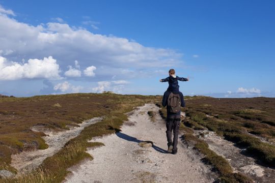 La lande du nord de l'île de Tresco