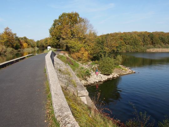 Les étangs apparaissent dans les trouées