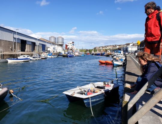 Le port de Wicklow en Irlande