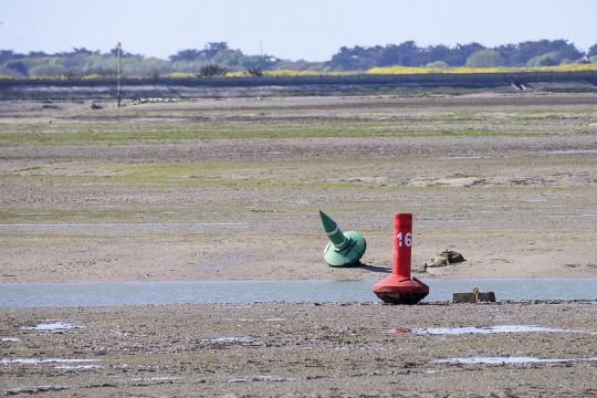 Fier d'Ars sur l'île de Ré © giancarlofoto