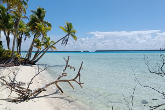 La vue sur le lagon depuis le motu Rimatu'u