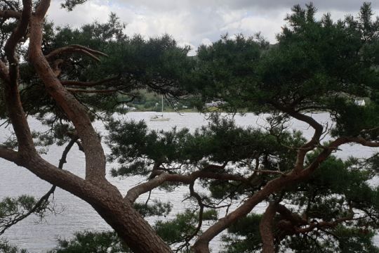 La zone de mouillage vue du parc d'Inverewe