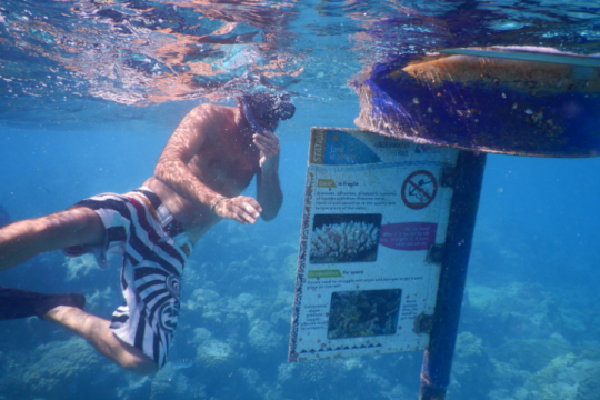 Plongée dans l' "aquarium" ©Julie Leveugle