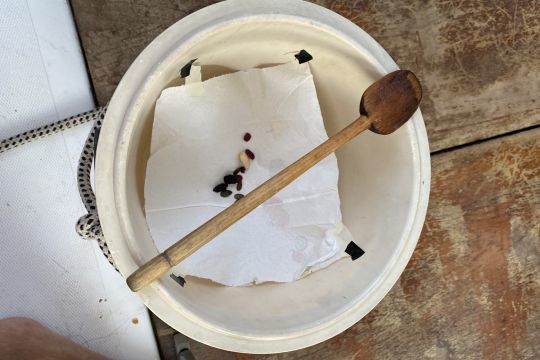 Le rat attiré par les graines retenues par un sopalin tombe au fond du seau. Ça a marché sauf qu'il a réussi à ressortir !