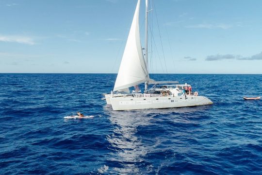Le catamaran accompagnateur
