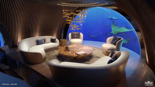 Le salon de proue pour admirer les animaux marins
