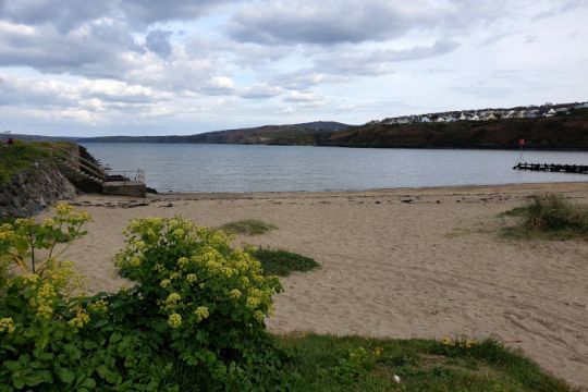 La plage de Fishguard Harbour