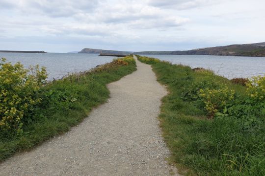 Quelques points de vue sympathique à Fishguard Harbour