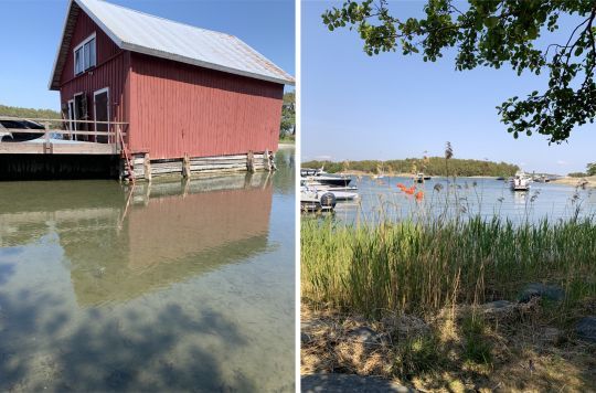 L'île de Gullkrona est un havre de paix et de nature. Ses eaux sont riches en poissons et ses terres regorgent d'insectes. Ici, la nature est omniprésente, on utilise des toilettes sèches et on est totalement dépaysés par ce mixte entre roche et flore luxuriante.