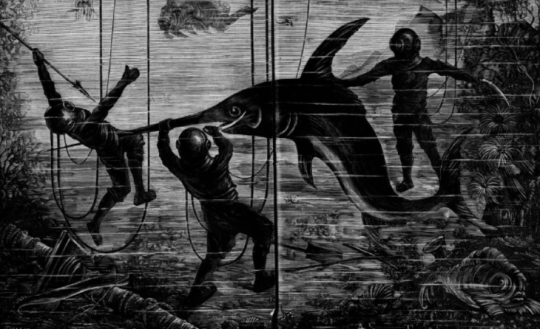 Espadon attaquant un scaphandrier © BNF Gallica