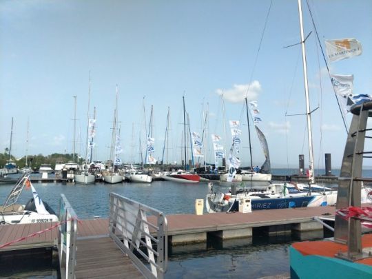 Alignement des voiliers déjà arrivés de la Cap Martinique