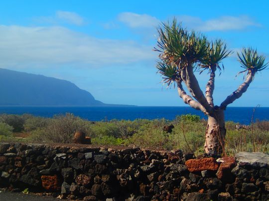 Hierro, archipel des Canaries
