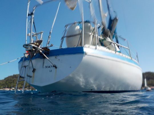 Maya, bien arrivé de "l'autre côté", aux Antilles