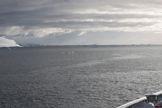 Whale watching depuis le bateau © Margot Sib