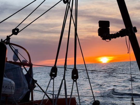 © Jingkun Xu #VG2024