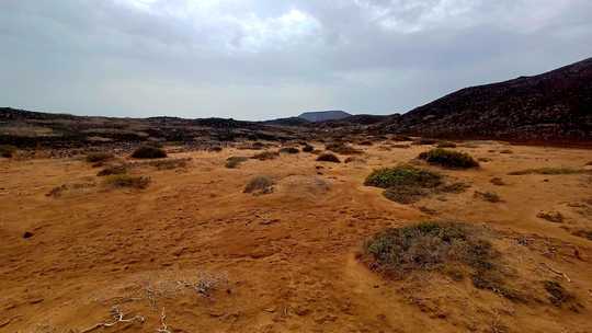 Sentiers slalomant entre les pierres de lave