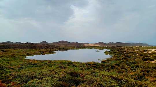 Lagune d'eau saumâtre