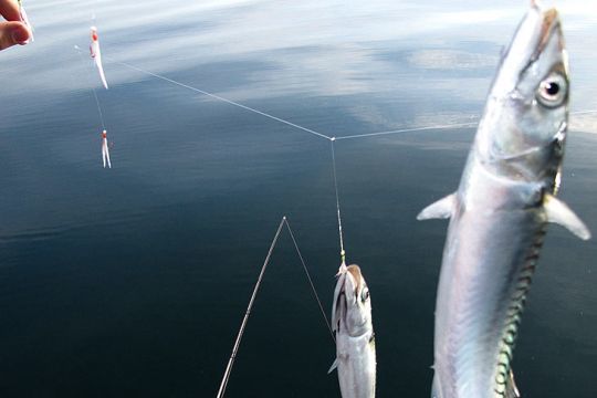 La pêche de loisir représente un poids économique et politique important