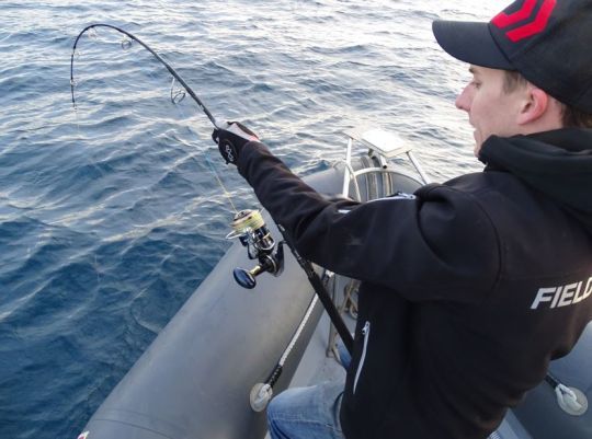 Mieux combattre les gros poissons.