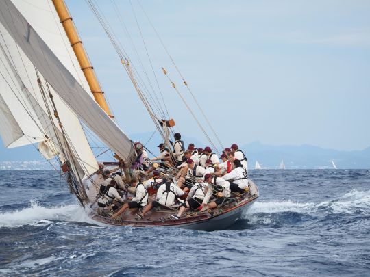 Tuiga, vainqueur en Grand Tradition ©Maxime Leriche